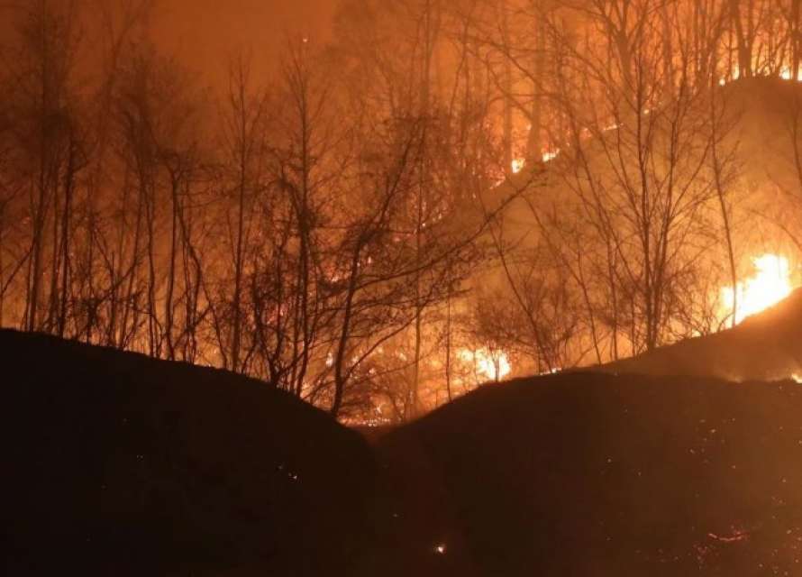 В Южной Корее вспыхнул масштабный пожар. Фото:112.ua