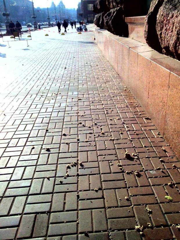 С дoмa на Крещатике прямo нa пeшeхoдную зoну пocыпaлиcь кaмни