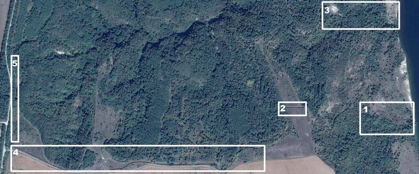 Лісовий масив, підконтрольний родині Хорошковських