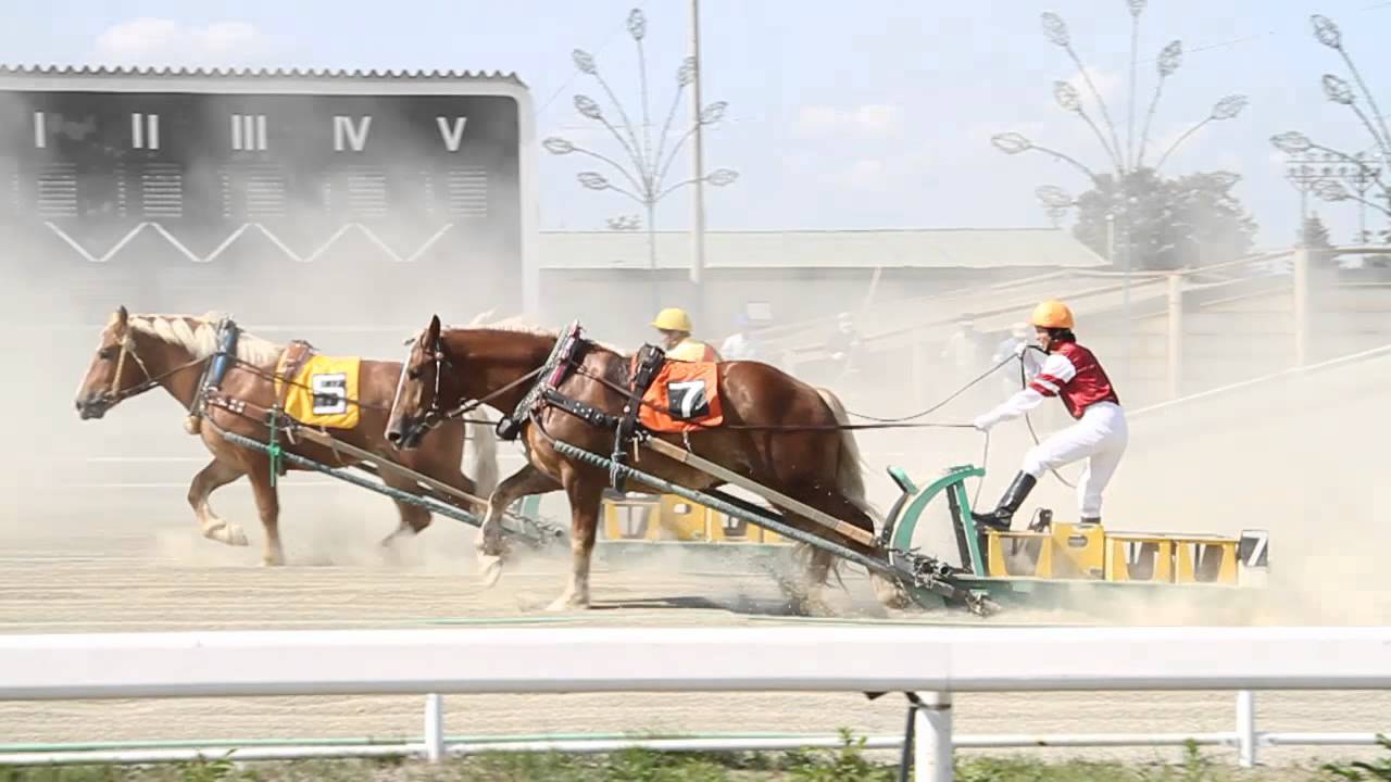 Самые медленные скачки в мире