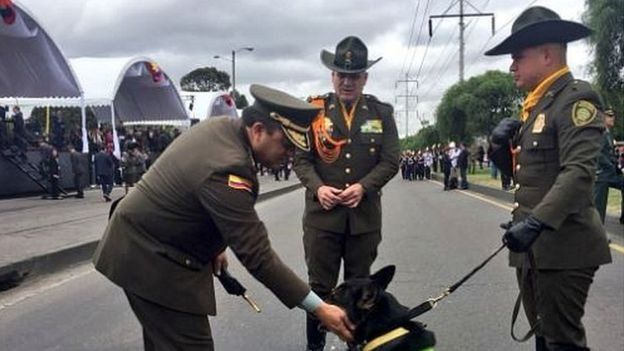 Фото: Colombian police