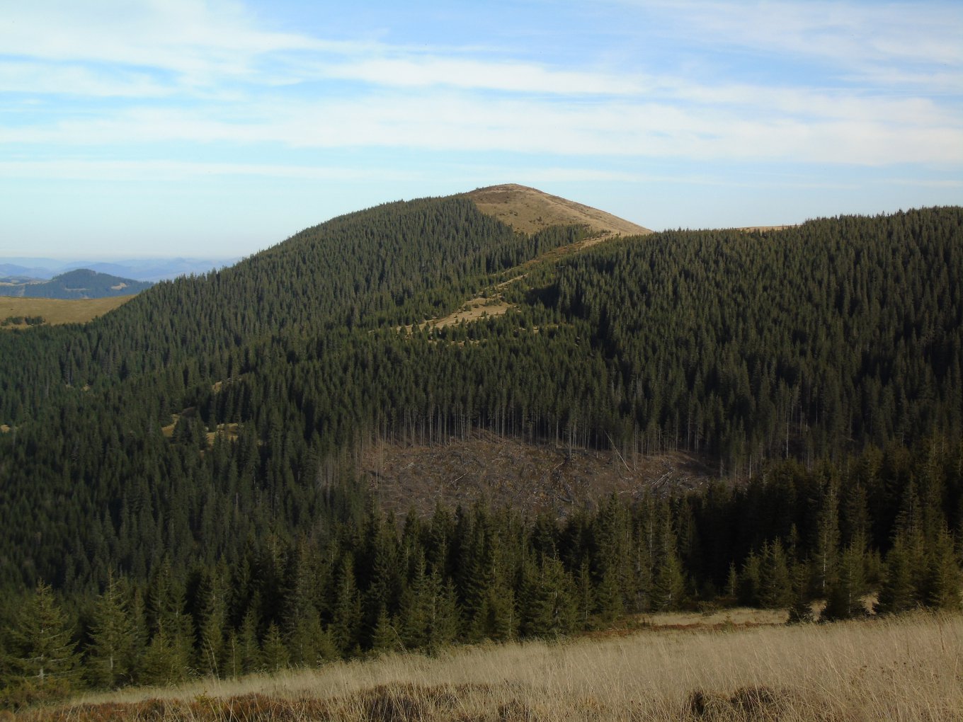 Фото: Сергея Канциренко