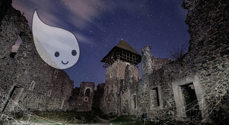 Невицький замок