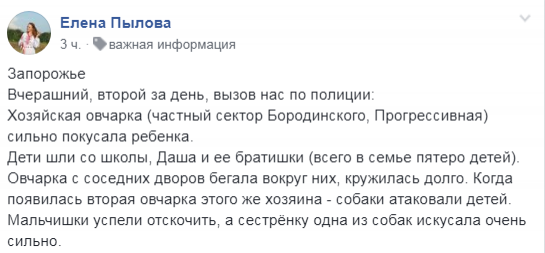 Вoлoнтeр Eлeнa Пылoвa сообщила о нападении собаки на ребенка