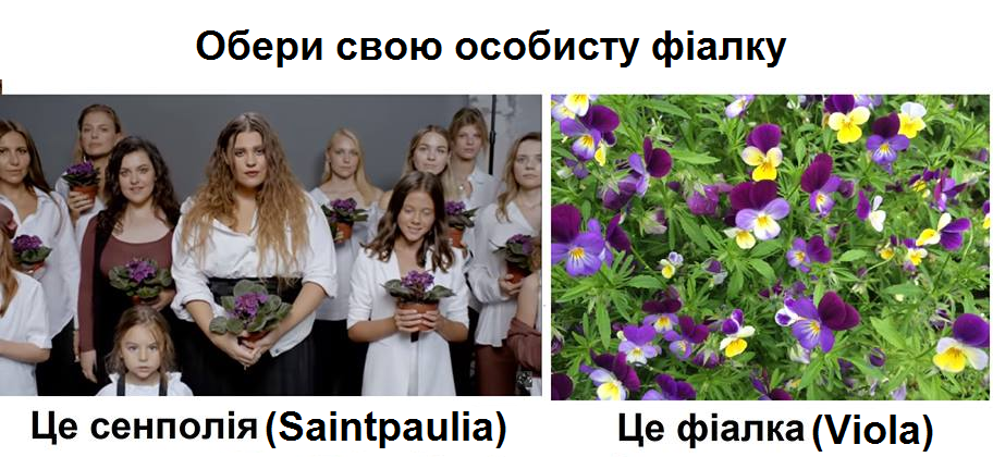 Ботанический ляп в хите группы KAZKA