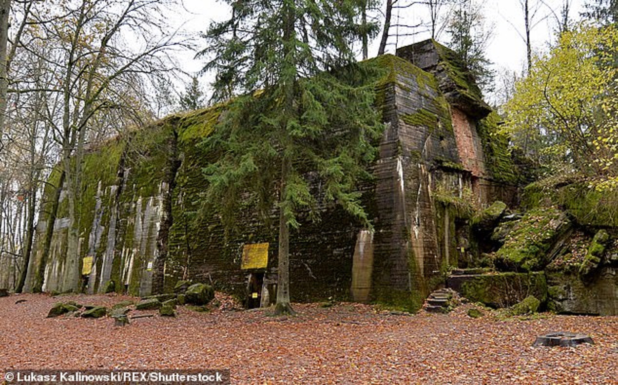 Руины тепличного комплекса, где для фюрера выращивали овощи и фрукты