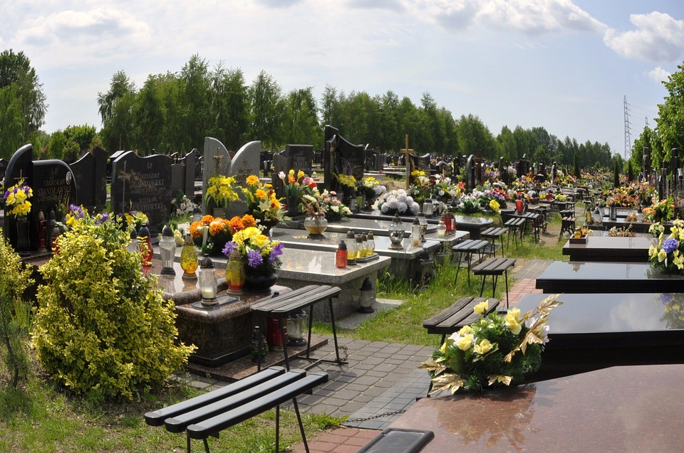 Искусственные цветы. Фото: pixabay.com