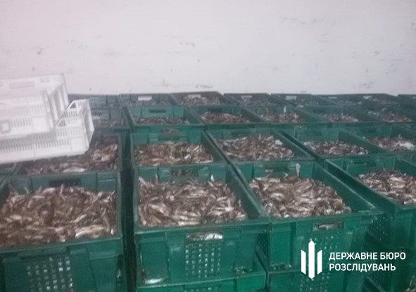 В Запорожской области полицейских подозревают в организации махинаций с изъятой рыбой
