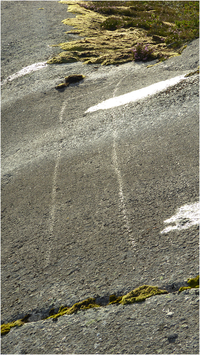 Археологи нашли древнейший наскальный рисунок лодки