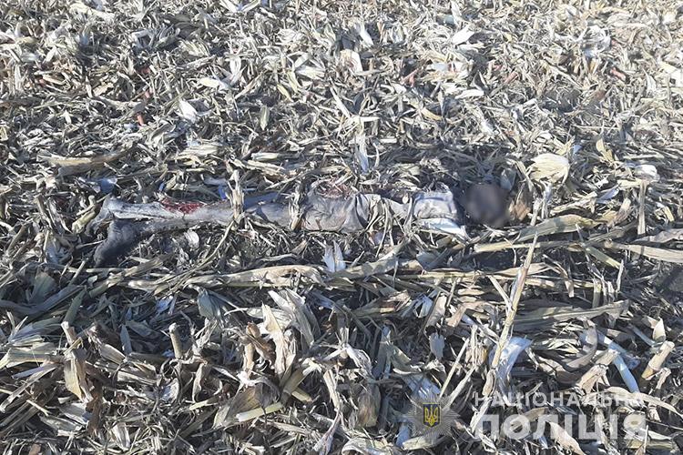 В поле на Тернопольщине нашли мумифицированное тело мужчины