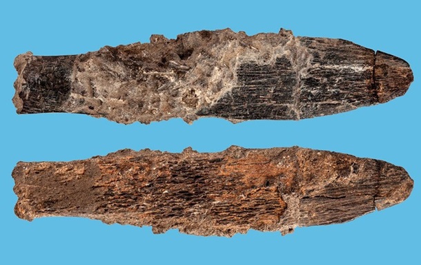 Нож возрастом 90 тыс. лет сделан из кости быка