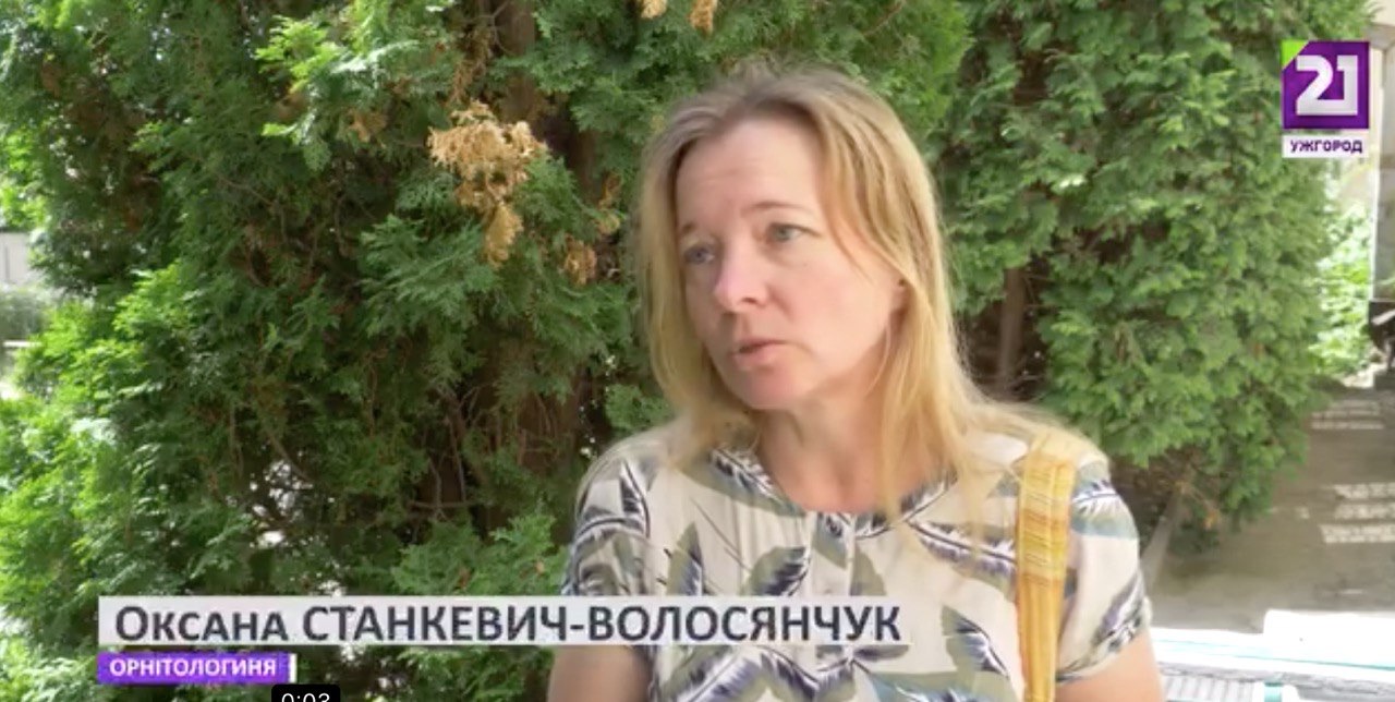 танкевич-Волосянчук