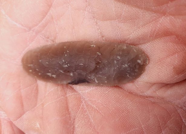 Древний артефакт приравняли к IPhone