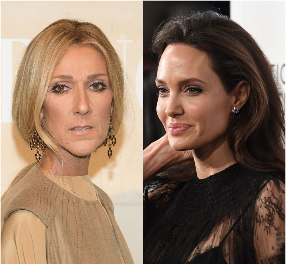 Анджелина Джоли и Селин Дион разругались 