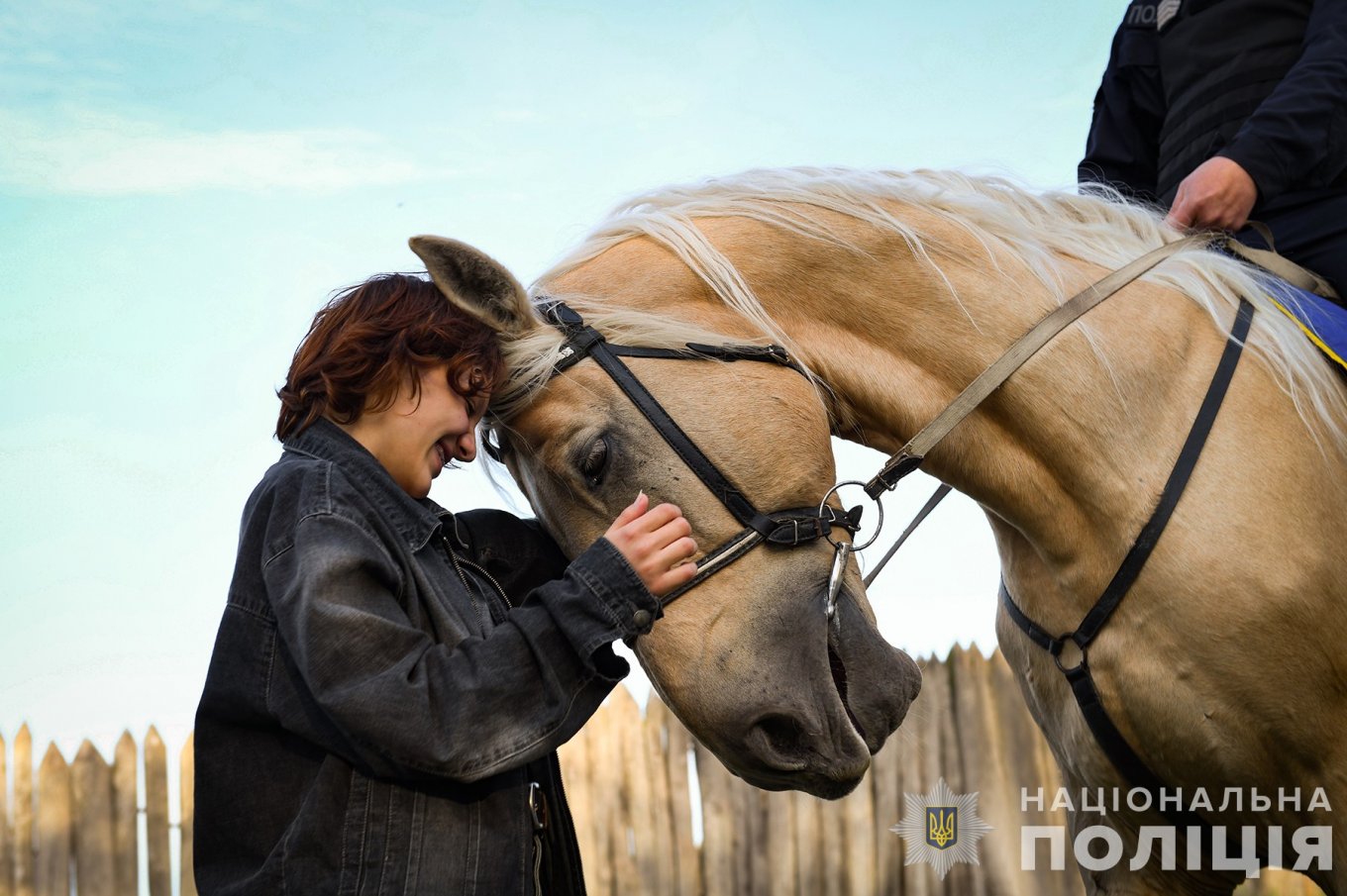 Гривасті напарники патрульних Пейзаж і Рельєф