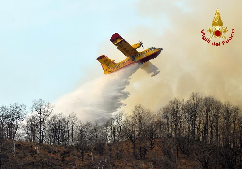 Огонь уничтожил около 1000 гектаров леса
