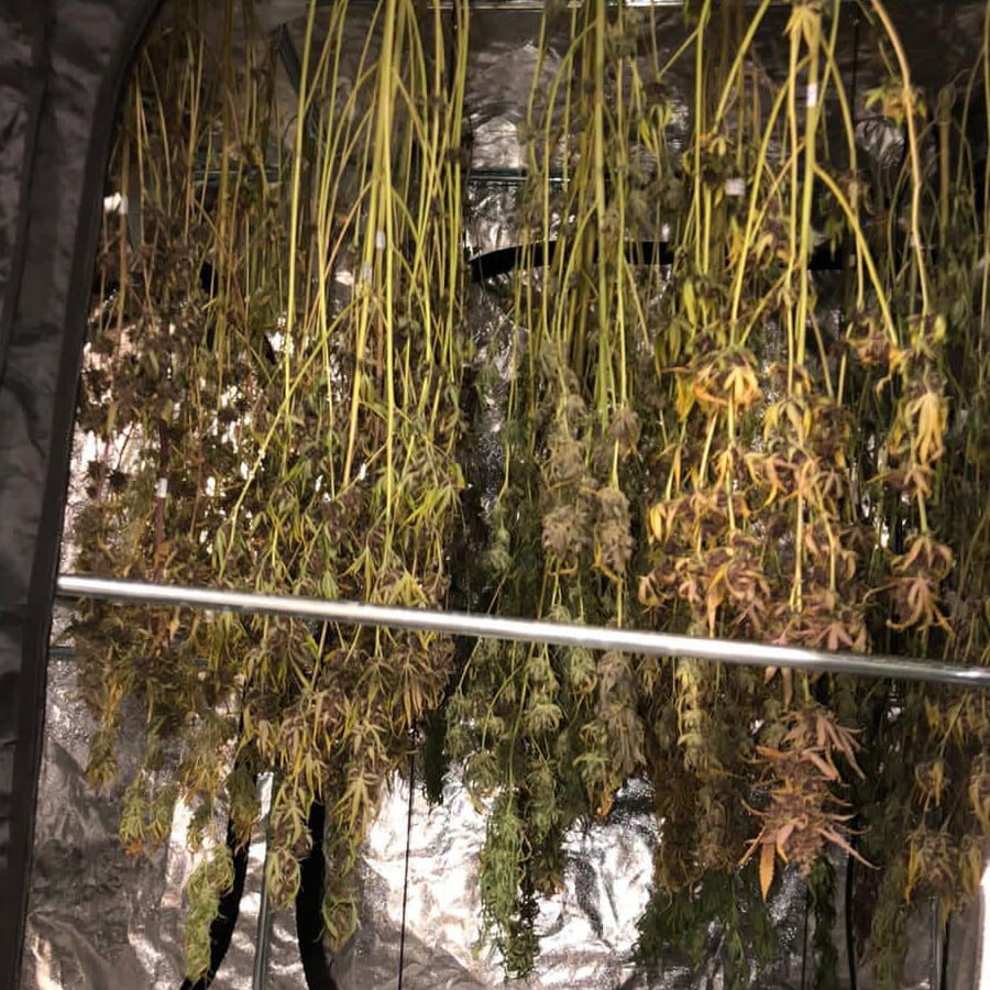 В Киеве разоблачили две нарколаборатории