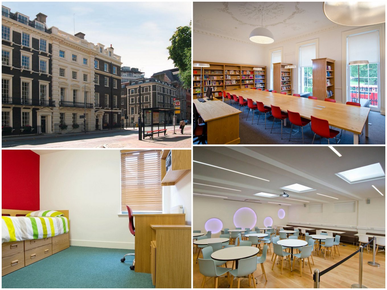 Учебный корпус, библиотека, комната в кампусе и столовая для студентов CAST College, фото:catseducation.com