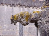 Монастырь Алкобаса, Португалия.