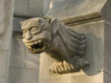 Вашингтонский университет, Сиэтл, США.