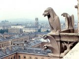 Собор Парижской Богоматери, Франция.