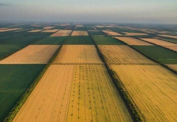 Продажа земли на земельных аукционах: кто от этого выиграет | FaceNews ...