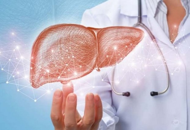 Врачи назвали продукты для очищения печени | FaceNews.ua: новости Украины - Vimarsana News
