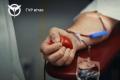 14 червня – День донора крові: як донорство рятує життя в умовах війни