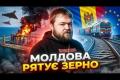 Молдова відкриває шлях для українського агроекспорту, поки сусіди по ЄС ставлять бар'єри