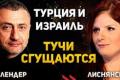 Туреччина як нова домінанта Близького Сходу: аналіз змін у регіональній політиці