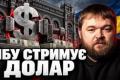 НБУ витрачає мільярди доларів: чи загрожує Україні девальвація гривні?