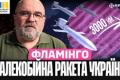 «Фламінго»: Українська ракета на 3000 км досягає стратегічних об'єктів РФ, змінюючи хід війни