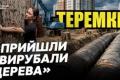 Скандал на Теремках: Київська влада зупинила будівництво теплотраси через парк після протестів