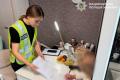 У Києві викрили схему заволодіння 3 млн грн на постачанні продуктів до дитсадків
