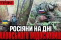 Українські захисники відбили штурм на Запоріжжі, захопили російський танк та знищили ворожу техніку: Зведення Армії Медіа