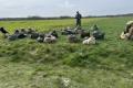 Спецпризначенці ГУР взяли участь у реконструкції історичної операції "Амхерст" в Нідерландах