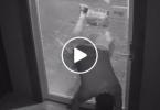 Последствия пятницы: как человек пытался попасть в дом, в котором была открыта дверь (Видео)