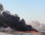 Росіяни випалюють ліси на заповідній Кінбурнській косі: море вздовж узбережжя вкрито попелом і згорілою корою дерев (відео)