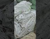 Виїзд бронемашини на позиції: кадри з Донецького напрямку