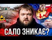 Українців годують імпортним салом: причина здешевлення продукту та стратегічні провали галузі