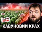 Кавуновий обвал: чому ціни на ягоду літа впали втричі та які ризики для аграріїв
