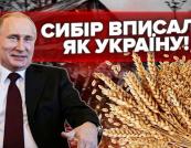 Ізраїль потрапив у міжнародний скандал через закупівлю краденого українського зерна
