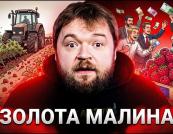 Українська малина: Від локального дефіциту до світового лідерства завдяки європейським викликам