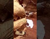 Спасатели вырыли младенца, родившегося прямо в грунте оползня (видео)