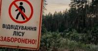 Киян закликають утриматися від відвідування лісів через високу мінну небезпеку