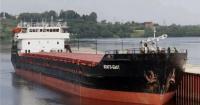 В Азовському морі затонув російський зерновоз: є загиблі та зниклі безвісти (фото)