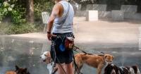 «Тепловий купол» приніс в Україну спеку до +38°C та відключення світла