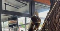 В Ікспарку відкрили першу кінетичну скульптуру на честь зенітників та мобільних вогневих груп