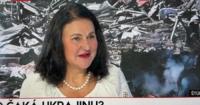 Посолка ЄС в Україні Катаріна Матернова розпочала останній рік своєї місії