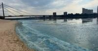 Екологи пояснили зеленувате забарвлення води та піну в Дніпрі